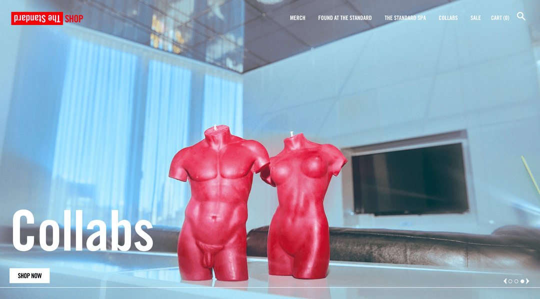 shopthestandard.com